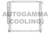 AUTOGAMMA 100099 Radiator, engine cooling